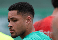 Libertadores: Palmeiras chega com estrutura de time titular definida; veja