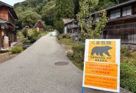 Japão usa "drones que latem" para conter ataques de ursos