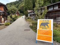 Japão usa "drones que latem" para conter ataques de ursos