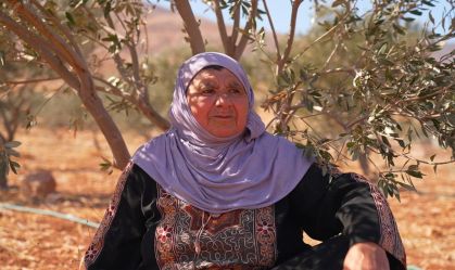 Como a violência de colonos na Cisjordânia afeta a colheita de azeitonas