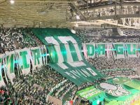 Ademir da Guia é homenageado pela torcida do Palmeiras antes de clássico