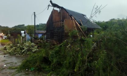 Em SC, ciclone causa destelhamentos e queda de árvores