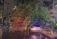 RS: Temporal com vento de mais de 97 km/h causa estragos em Porto Alegre