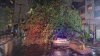 RS: Temporal com vento de mais de 97 km/h causa estragos em Porto Alegre