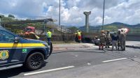 RJ: Caminhão derruba passarela e motorista morre esmagado na BR-116