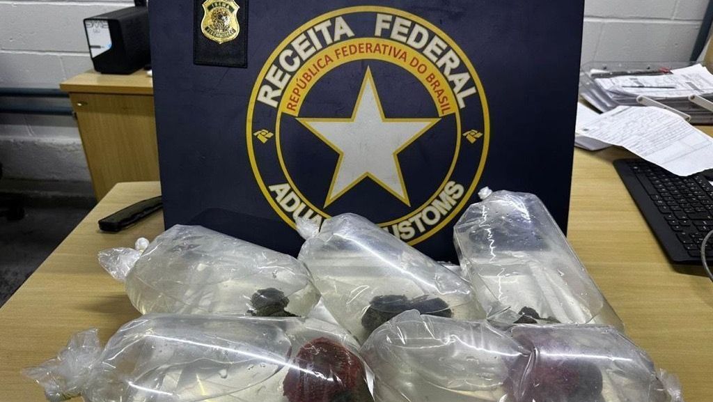 Corais do Pacífico são apreendidos pela Receita Federal no aeroporto de Fortaleza