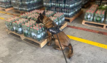 Cocaína diluída em garrafas de refrigerante são apreendidas em SC