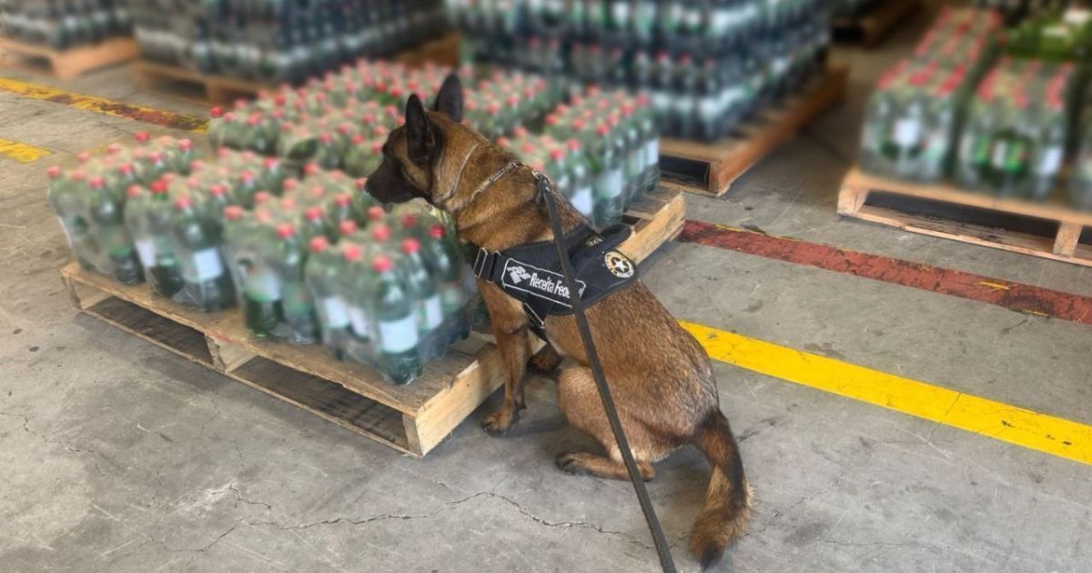 Cocaína diluída em garrafas de refrigerante são apreendidas em SC