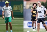 Em situações opostas, Palmeiras e Santos se enfrentam no Brasileirão