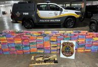 SP: PF prende motorista com 270 kg de drogas e armamento pesado em rodovia