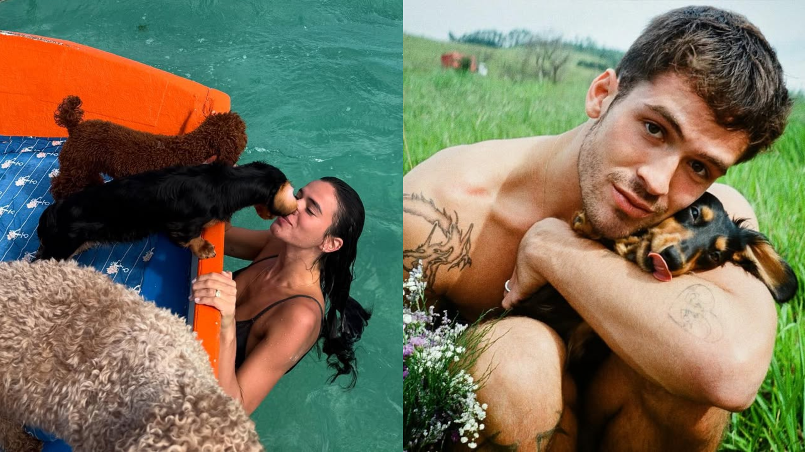 Bruna Marquezine e João Guilherme adotaram dois cachorros enquanto namoravam