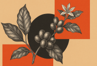 EUA admitem isentar café, mas pedido brasileiro "amplo" dificulta negócio