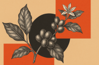 EUA admitem isentar café, mas pedido brasileiro "amplo" dificulta negócio