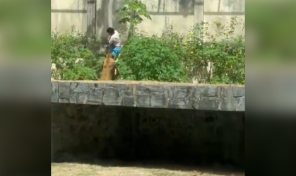 Homem morre após entrar em jaula de Leoa na Paraíba