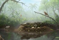 Cascas de ovos explicam como crocodilos pré-históricos caçavam em árvores
