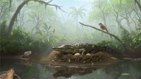 Cascas de ovos explicam como crocodilos pré-históricos caçavam em árvores