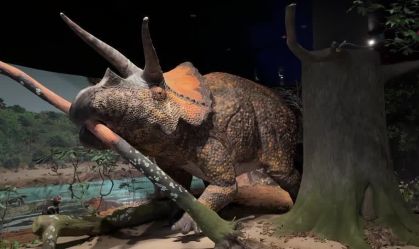 Asteroide que extinguiu dinossauros vira foco de exposição em museu