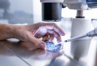 Doação de óvulos: como funciona e quem pode se beneficiar?