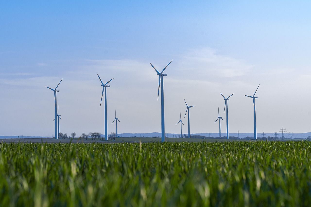 economia verde