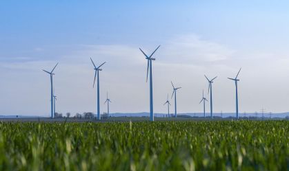 Do Nobel à Cop, passando pelo divã