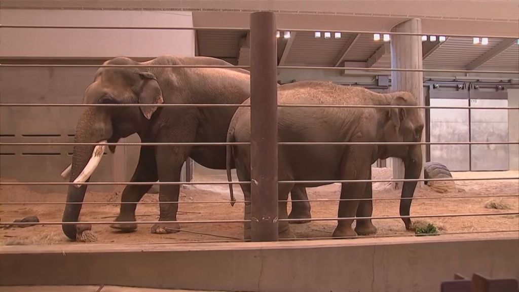 Nhi Linh e Spike juntos no Zoológico Nacional Smithsonian