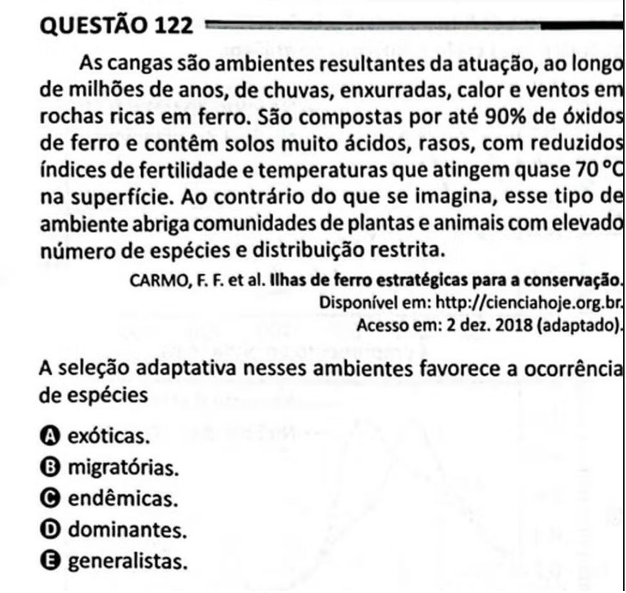 • Reprodução/X