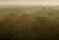 Anéis gigantes no Amazonas desvendam futuro climático do planeta