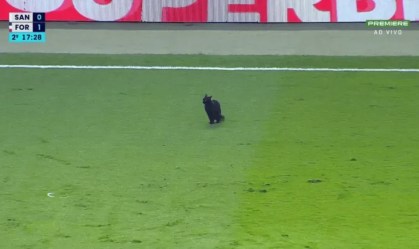 Gato preto invade gramado e rouba cena em Santos x Fortaleza