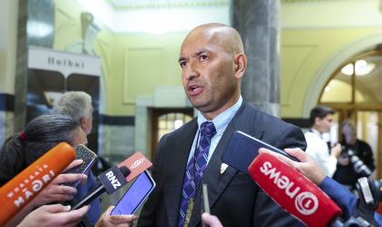 Gatos selvagens serão erradicados na Nova Zelândia; entenda os riscos