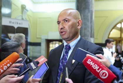 Gatos selvagens serão erradicados na Nova Zelândia; entenda os riscos