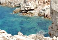 Cânion que reúne baleias e golfinhos no Mediterrâneo está ameaçado; entenda