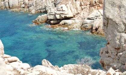 Cânion que reúne baleias e golfinhos no Mediterrâneo está ameaçado; entenda