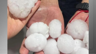 Chuva de granizo e vendaval atingem munícipios do Paraná; veja imagens