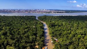 Análise: COP30 mostra que o mundo precisa vender veneno para pagar antídoto