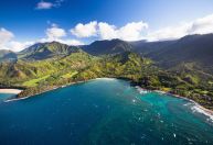 Milhares de mosquitos são lançados por drones em ilhas do Havaí; entenda