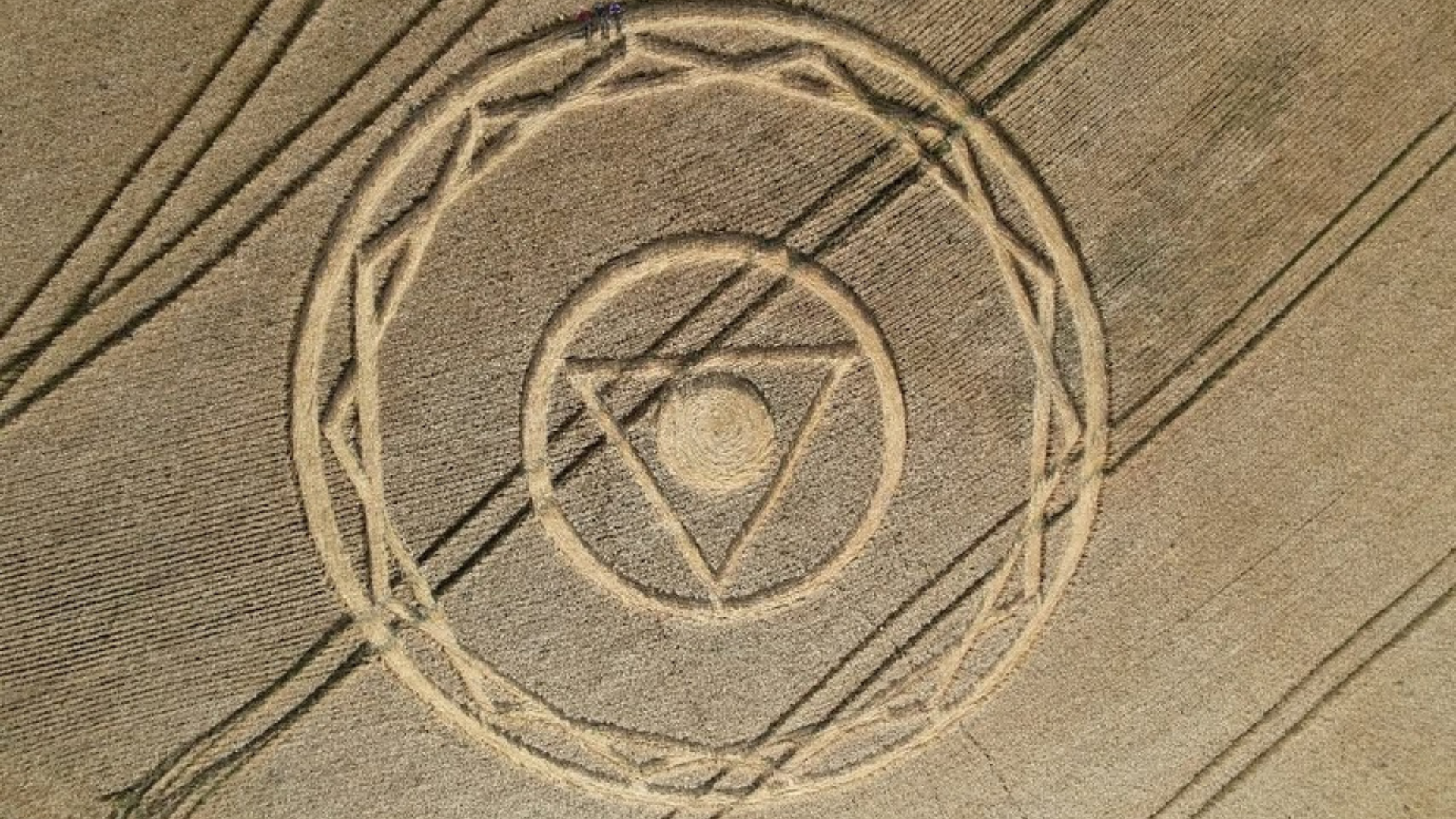 circulos_plantações_sc