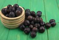 Jabuticaba contribui para controle do apetite e a cognição, aponta estudo