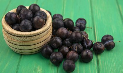 Jabuticaba contribui para controle do apetite e a cognição, aponta estudo