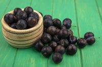 Jabuticaba contribui para controle do apetite e a cognição, aponta estudo