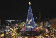 Vídeo: Árvore de Natal mais alta do mundo é acesa na Alemanha