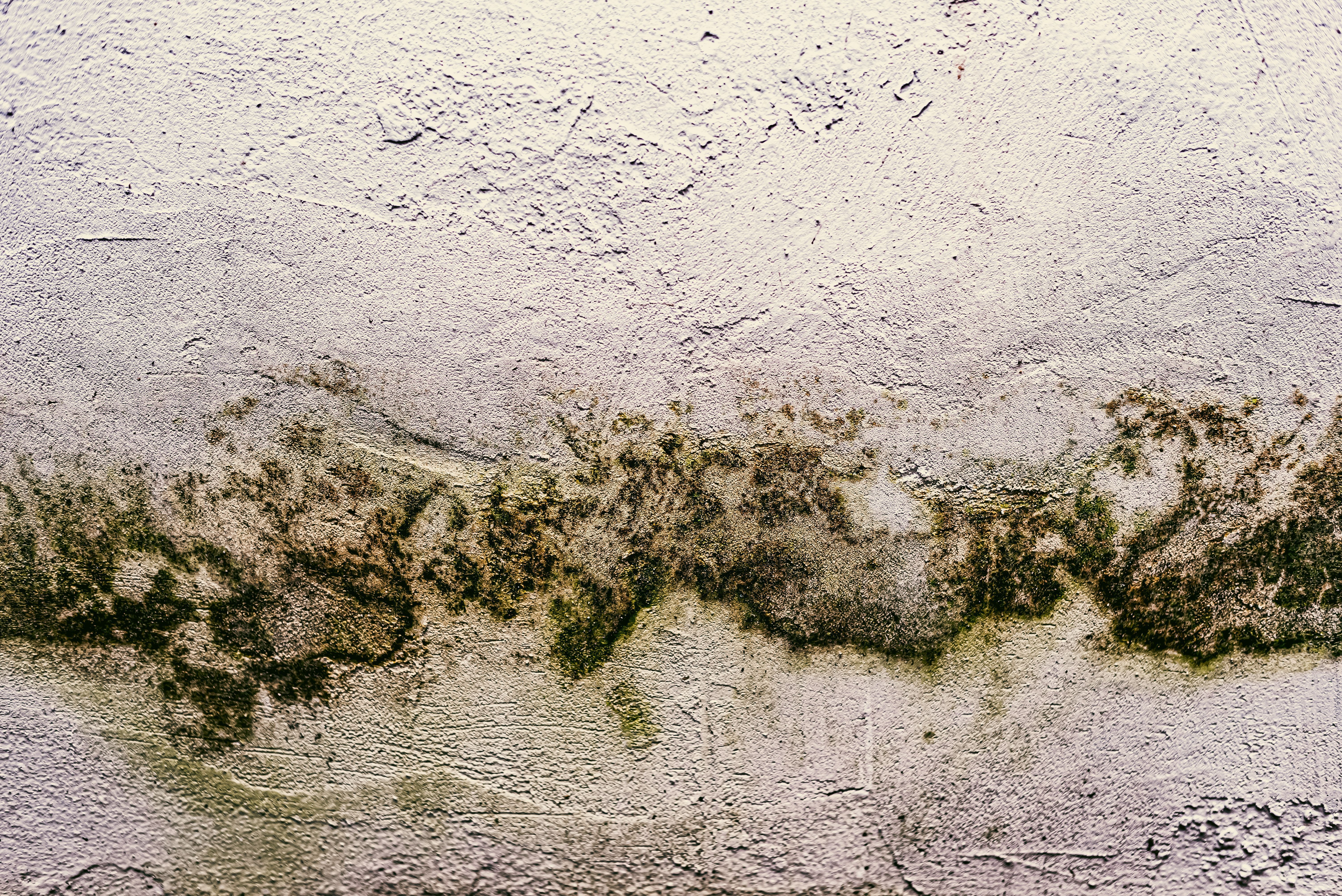 Photo of wall texture pattern