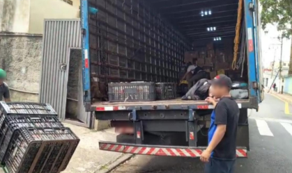 Polícia prende cinco suspeitos em operação contra falsificação de bebidas