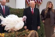 Trump perdoa perus em tradição do Dia de Ação de Graças