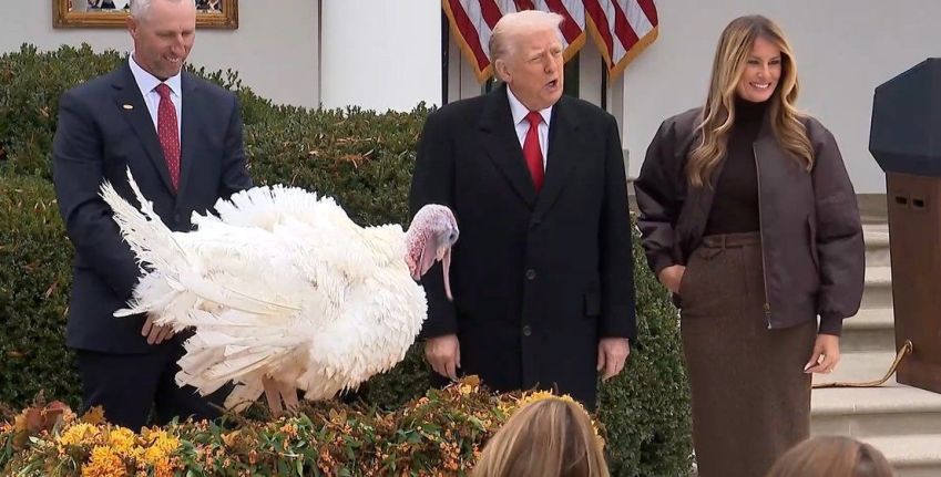 One of the turkeys pardoned by Trump on Thanksgiving • Reuters