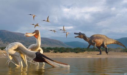 Vômito fossilizado revela nova espécie de pterossauro que viveu no Brasil