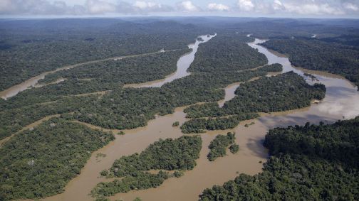 Ministério do Meio Ambiente e Inpe (Instituto Nacional de Pesquisas Espaciais) colaboraram para desenvolver uma IA que ajuda a fiscalizar e prever o desmatamento ilegal