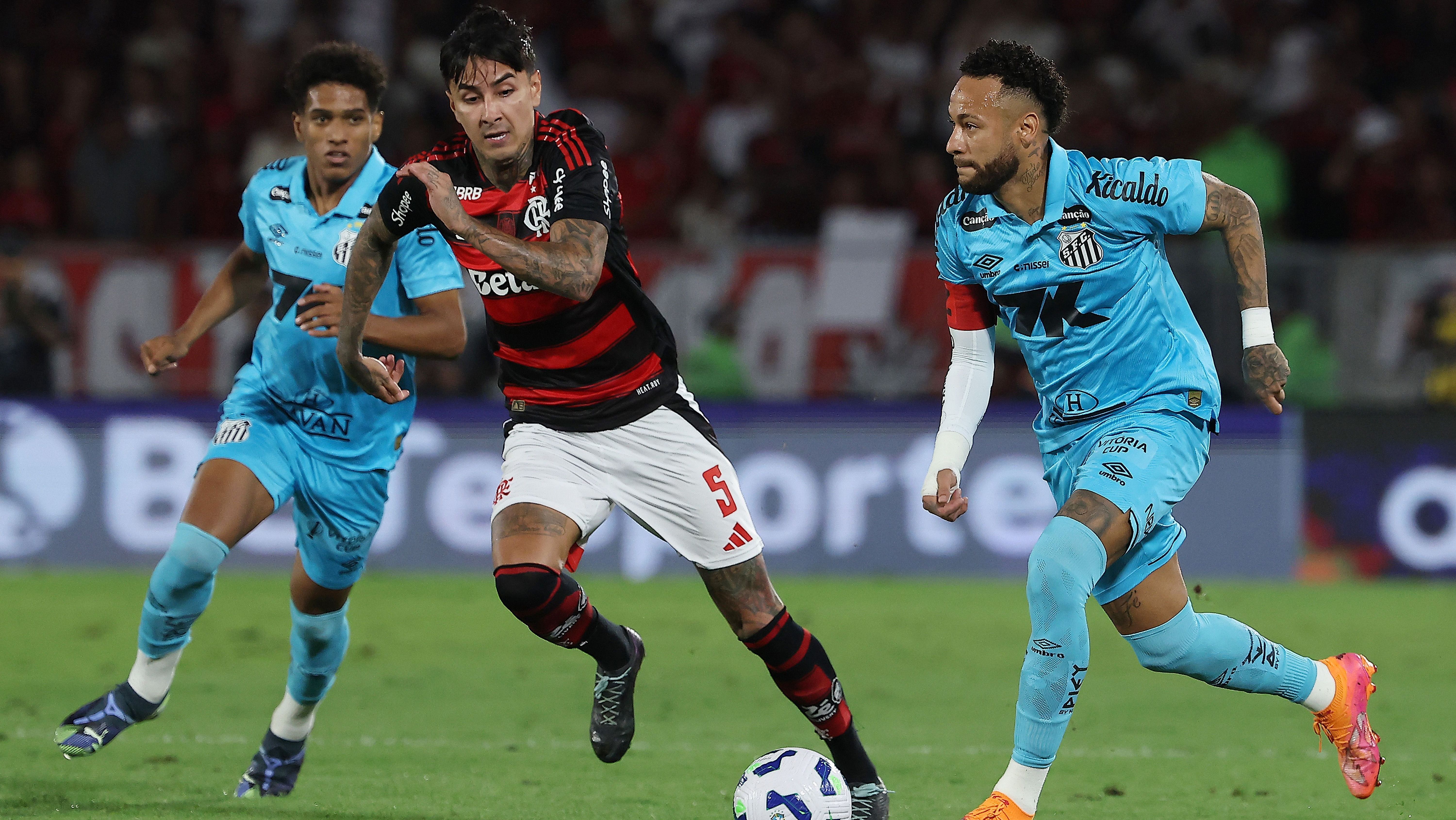 Flamengo v Santos - Brasileirao 2025