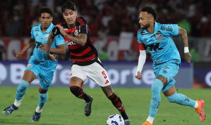 Flamengo v Santos - Brasileirao 2025