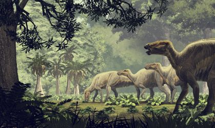 Lesões de acasalamento podem ajudar a identificar sexo de dinossauros