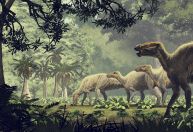 Lesões de acasalamento podem ajudar a identificar sexo de dinossauros